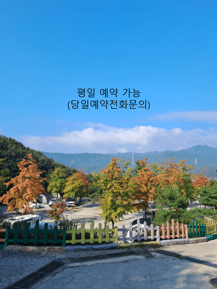 단풍숲캠핑장 대표 이미지
