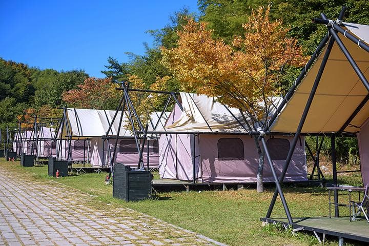 담양금성산성 오토캠핑장 대표 이미지
