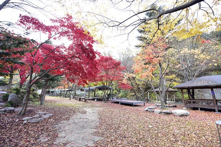 유명산밸리캠핑장 대표 이미지