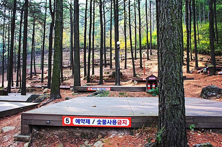 제암산자연휴양림 야영장 대표 이미지