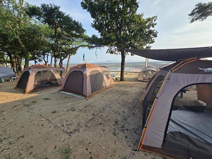 동막리 마을회 대표 이미지