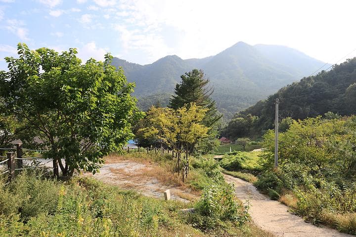 산대분교공공캠핑장 대표 이미지