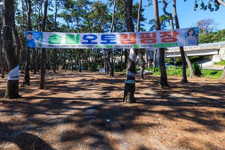 송림오토캠핑장 대표 이미지
