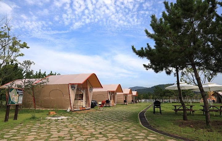 고창갯벌오토캠핑&글램핑 대표 이미지
