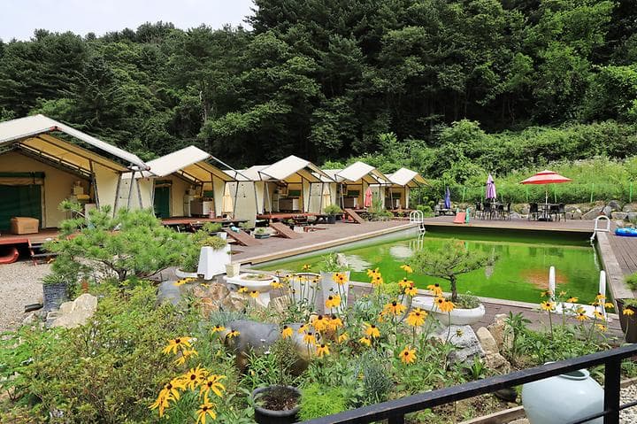 산유리캠핑장 대표 이미지