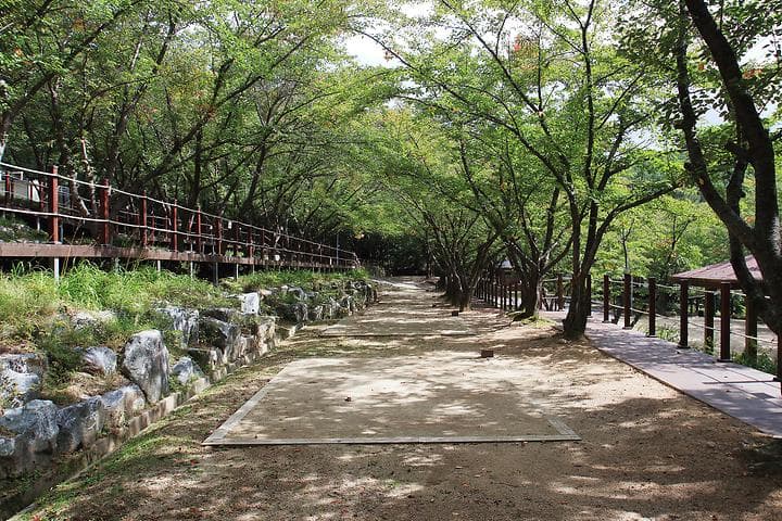 팔공산 국립공원 가산산성 야영장 대표 이미지
