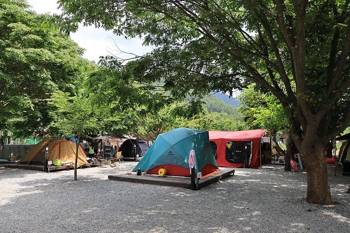 자연과함께 펜션캠핑장 대표 이미지