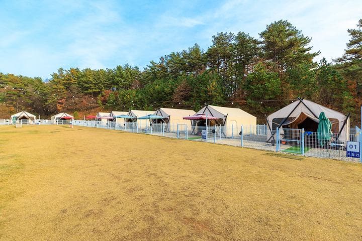 멍글멍글 펫 글램핑(주) 대표 이미지