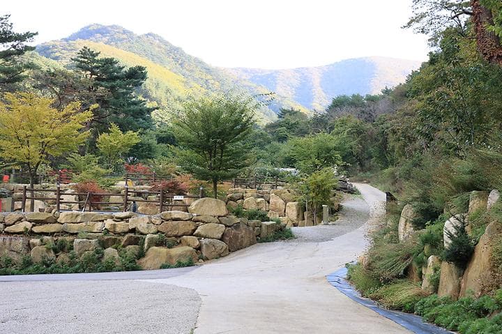 양양오색 휴랜드 야영장 대표 이미지