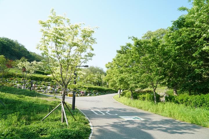 천왕산 가족캠핑장 대표 이미지