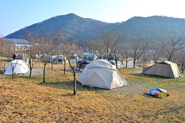 보다더캠핑 대표 이미지