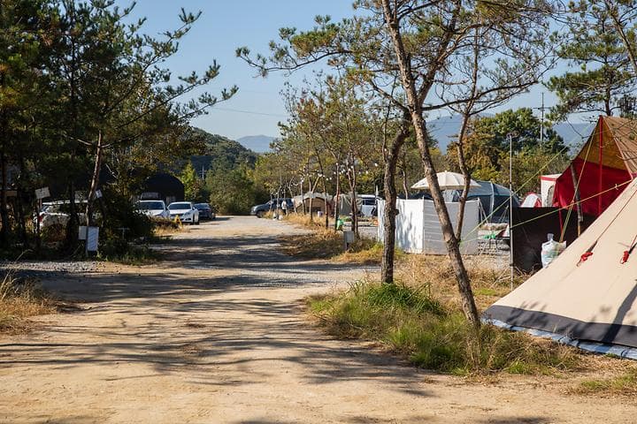 양주 리온 캠핑장 대표 이미지