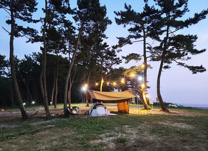 태안노을숲캠핑장 대표 이미지