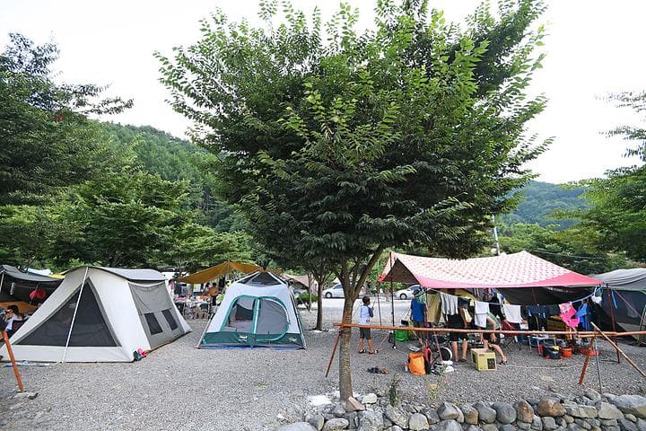 둘레길관광농원 대표 이미지