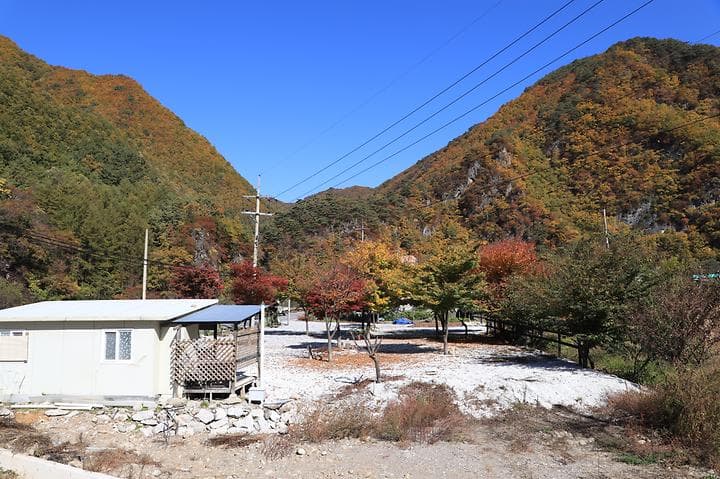 러브팩토리펜션캠핑장 대표 이미지