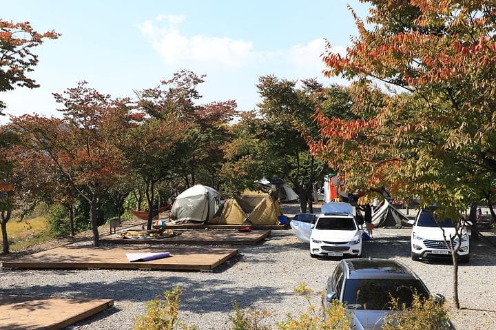 로하스캠핑 대표 이미지